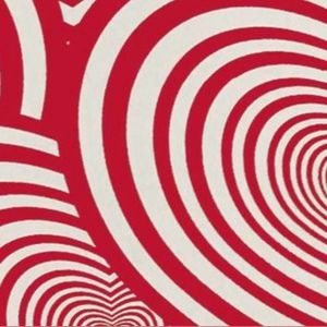 Meet your Posher, Charlotte